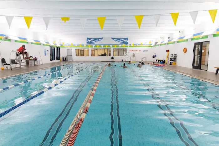 Bayer YMCA Picture 1