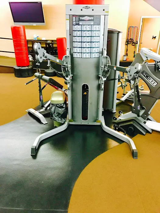 Apollo Fit. Picture 2