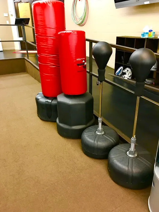 Apollo Fit. Picture 6