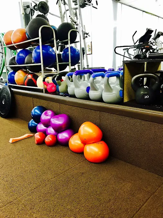 Apollo Fit. Picture 3