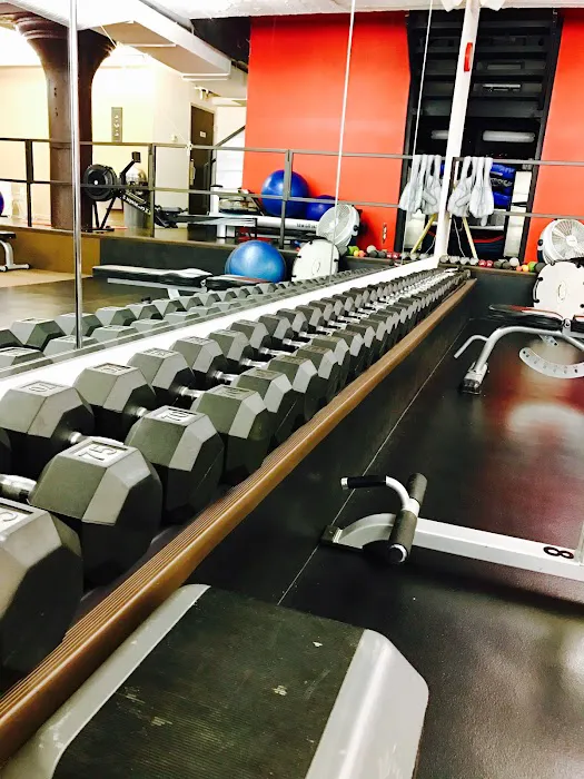 Apollo Fit. Picture 5