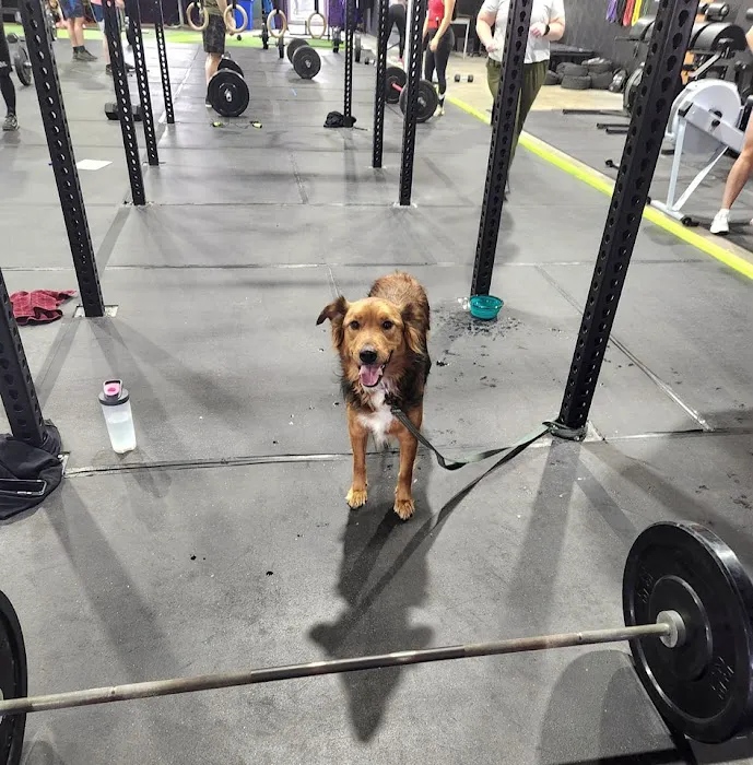 C3 Fitness Picture 8