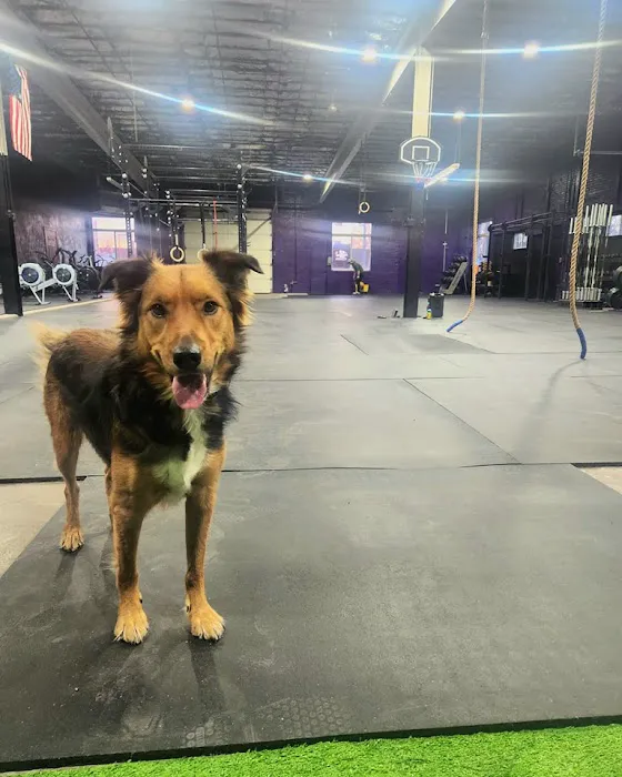 C3 Fitness Picture 3