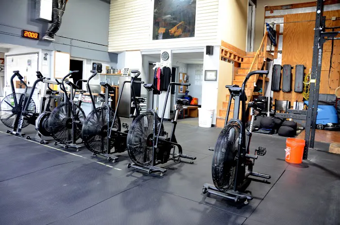 Straight Cheetah Fitness Picture 7