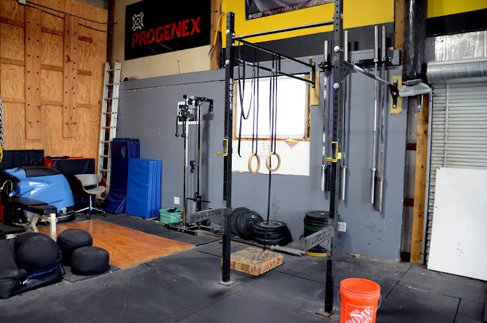 Straight Cheetah Fitness Picture 2