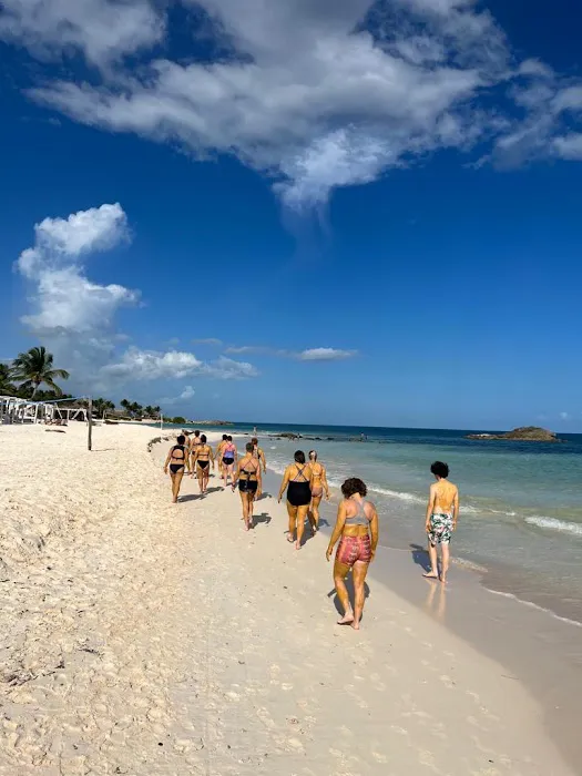 Go Yoga Express Picture 7