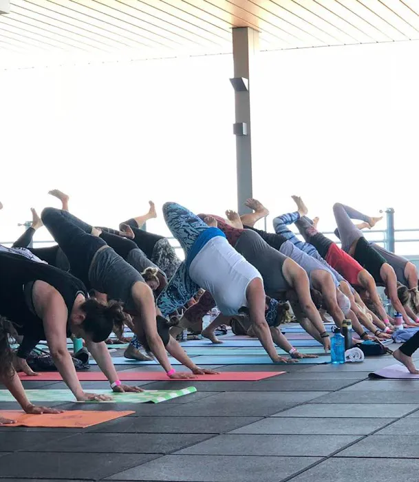 Go Yoga Express Picture 10