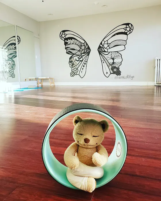 North Loft Yoga Picture 4