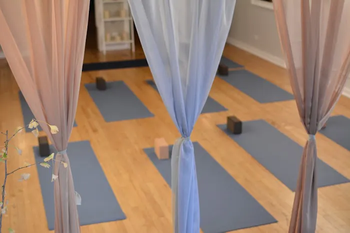 Central Street Yoga Picture 4