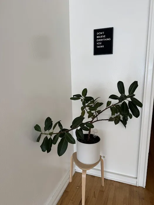 The Yoga Post Picture 2