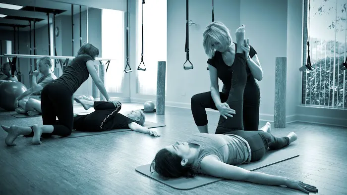 Swan Dive Center for Pilates Picture 3