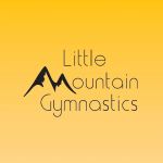 Little Mountain Gymnastics