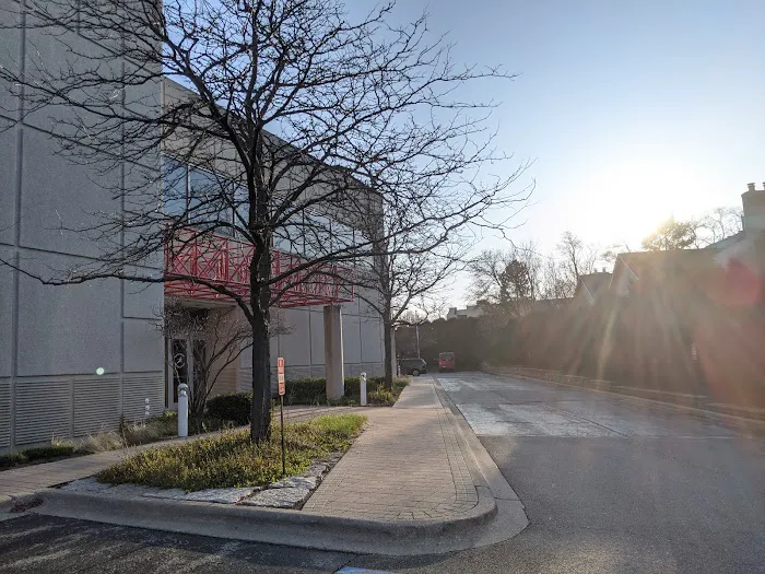 Movement Revolution Picture 3