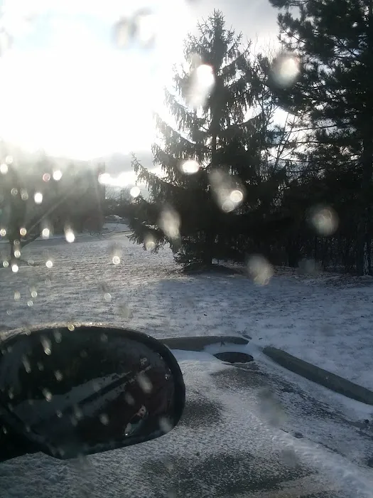 Basketball Warehouse Picture 4