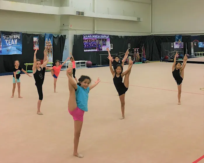 North Shore Rhythmic Gymnastics Picture 3