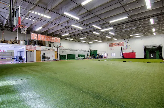 Premium Athletes Picture 5