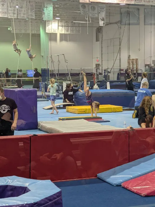 St Charles Gymnastics Academy Picture 3