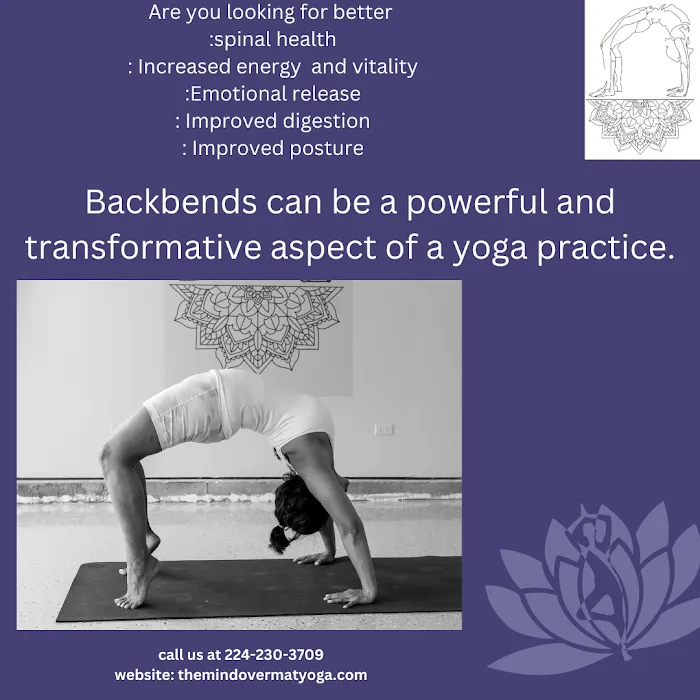 The Mind Over Mat Yoga Picture 3