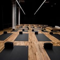 Humming Puppy Yoga New York City ico