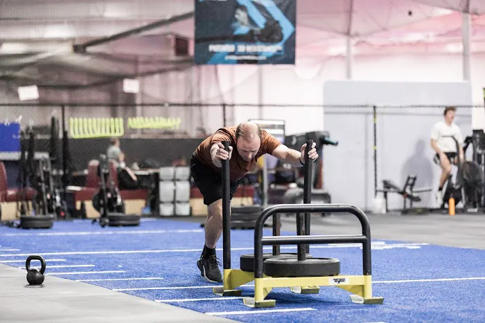 Oak Strength Picture 7