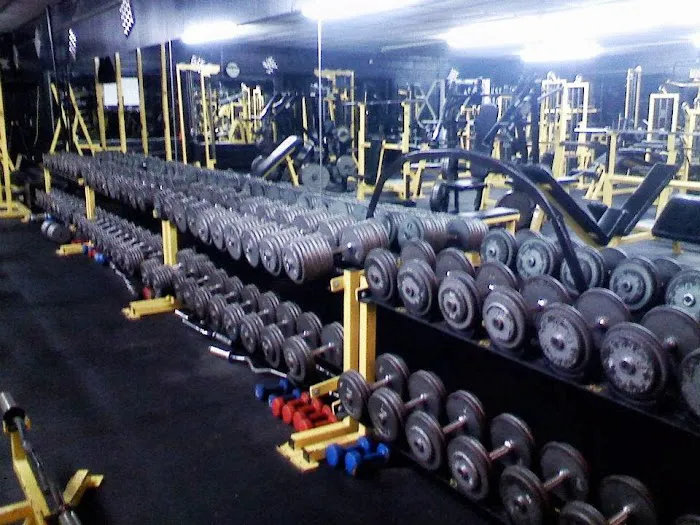Asylum Gym Picture 6