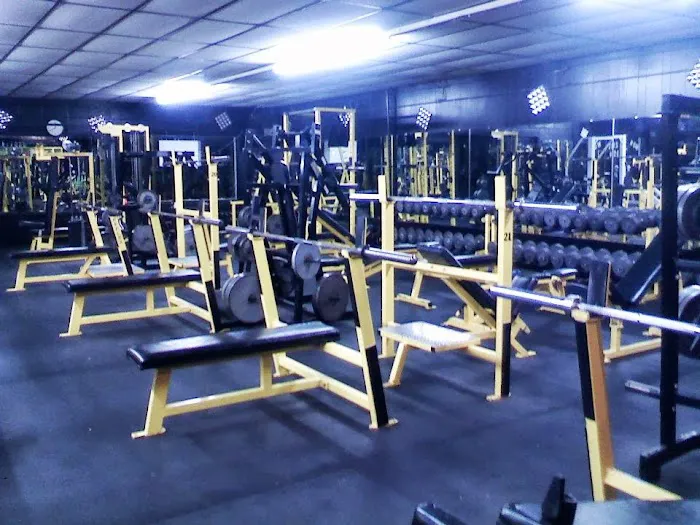 Asylum Gym Picture 1