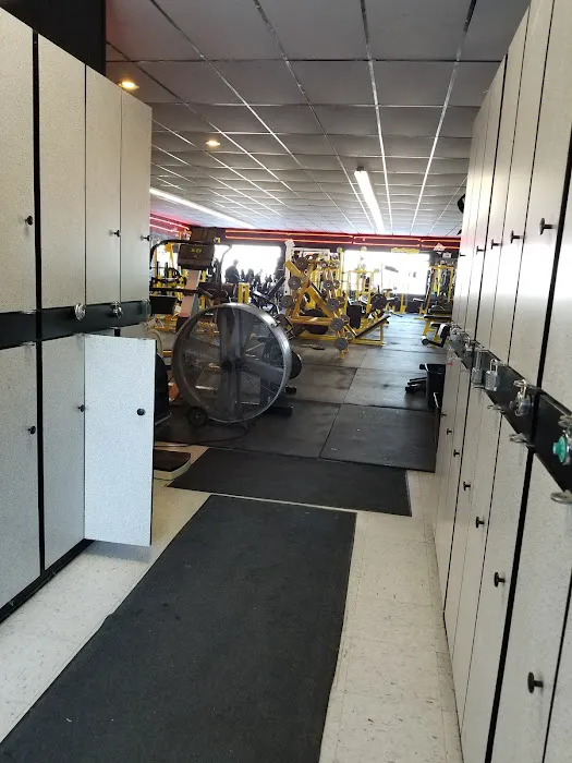 Asylum Gym Picture 7