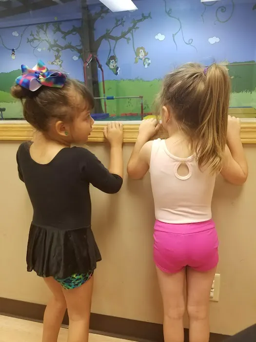 Gymnastic Academy North Picture 4