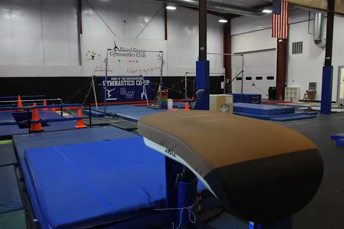 Hazel Green Gymnastics Club Picture 4