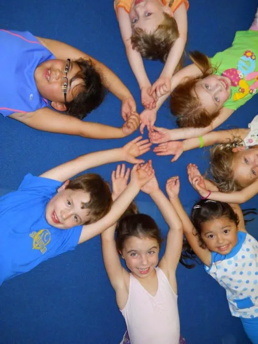 Team Central Gymnastics Academy Picture 9