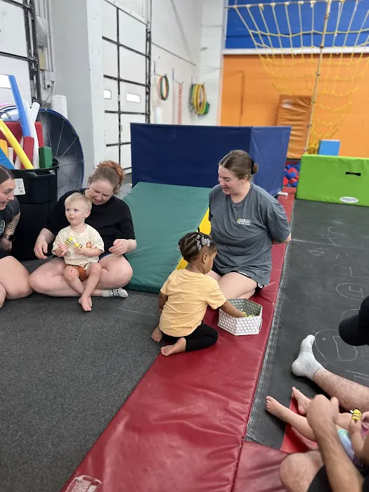 Team Central Gymnastics Academy Picture 2