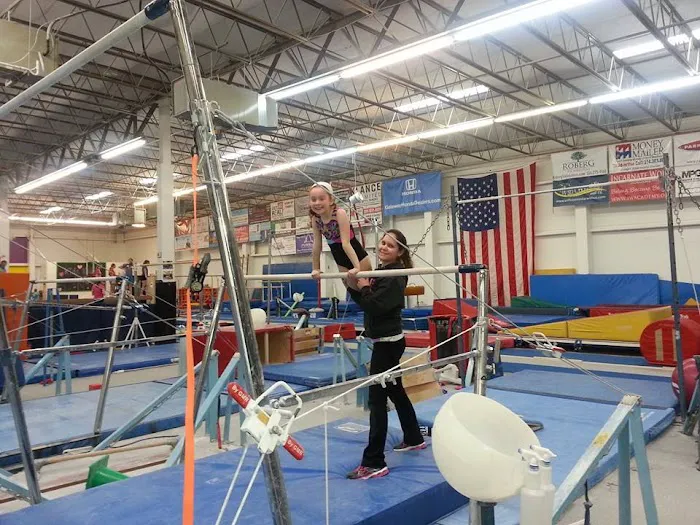 Team Central Gymnastics Academy Picture 3