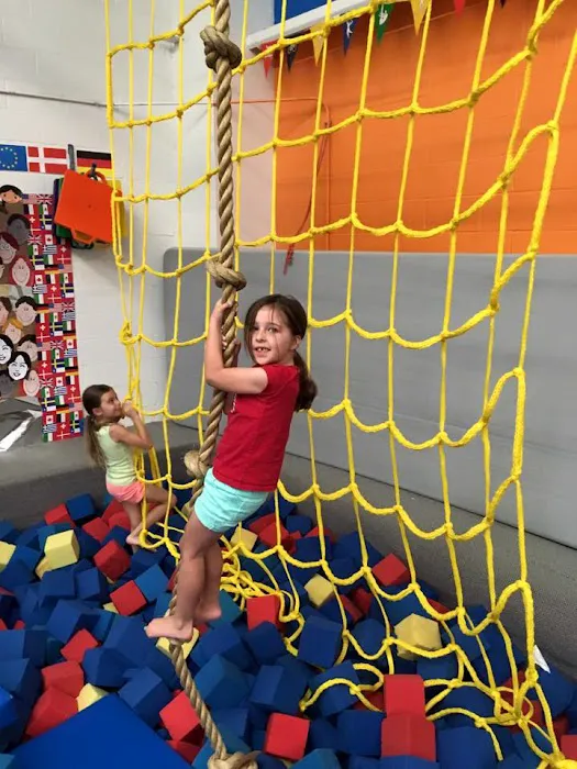 Team Central Gymnastics Academy Picture 7