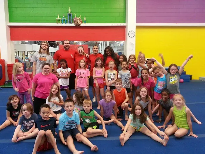 Team Central Gymnastics Academy Picture 8