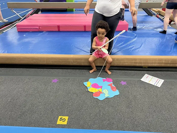 Team Central Gymnastics Academy Picture 4