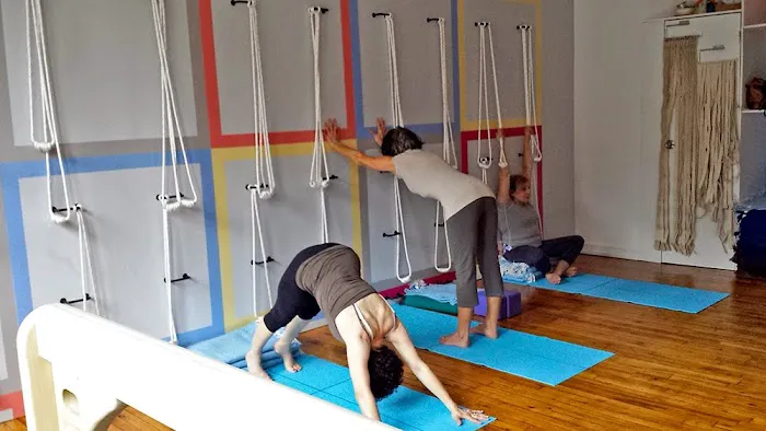 Samamkaya Yoga Back Care & Scoliosis Collective Picture 2