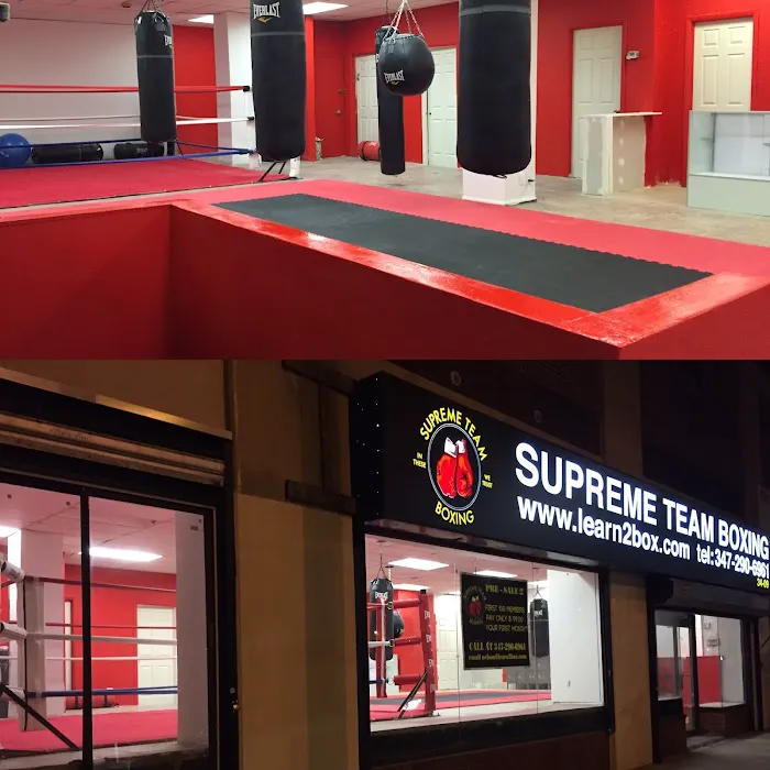 Supreme Team Boxing Picture 9