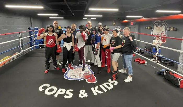 Supreme Team Boxing Picture 6