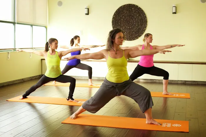 The Yoga Room Picture 2