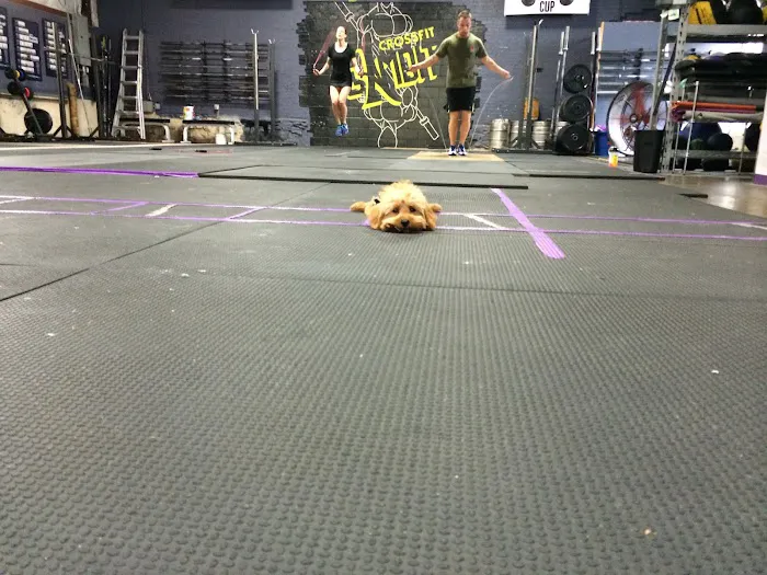 Gambit Fitness - CrossFit Gambit Picture 7