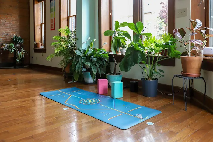 Island Life Yoga & Nutrition Picture 6