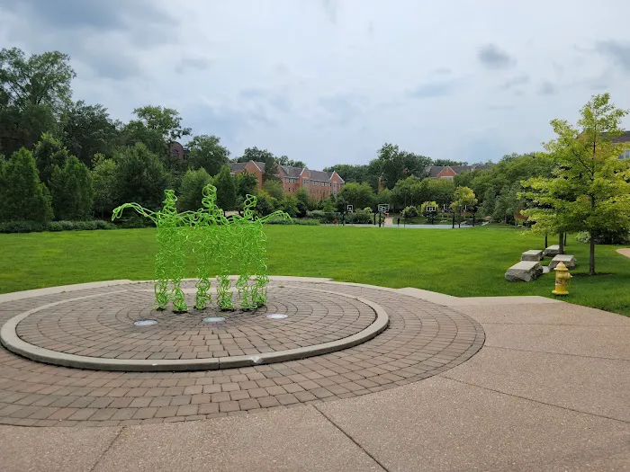 South 40 Fitness Center Picture 4