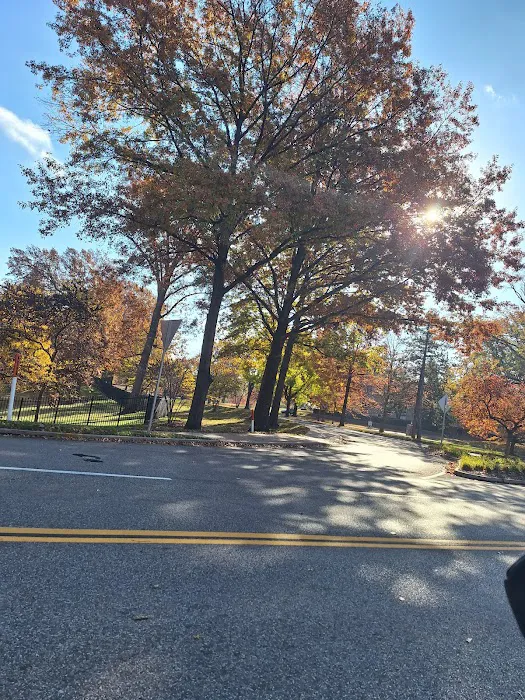 South 40 Fitness Center Picture 6