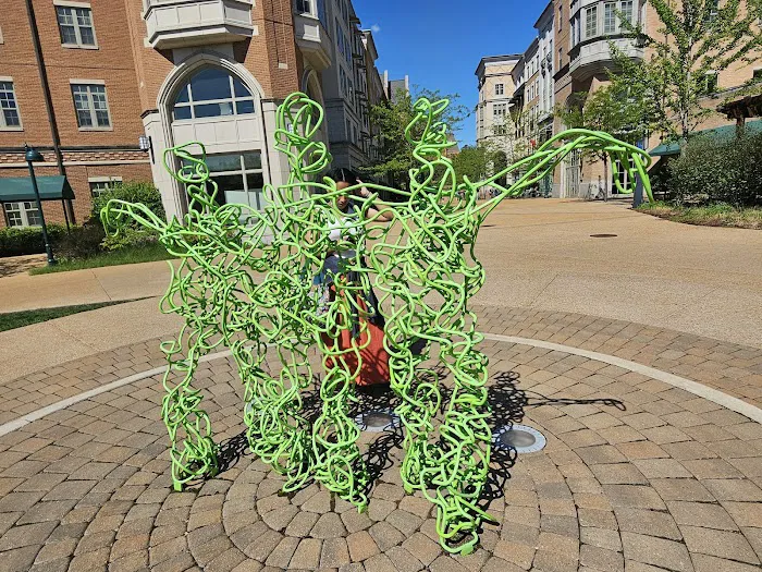 South 40 Fitness Center Picture 5