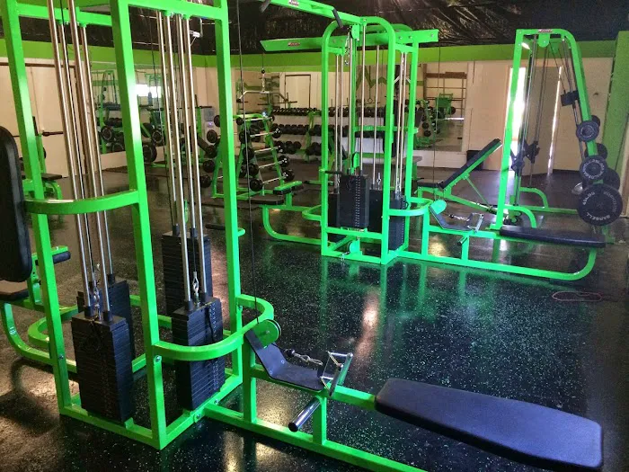 The Bar LLC Picture 3