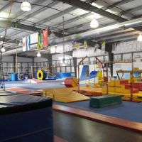 Midwest Twisters ico