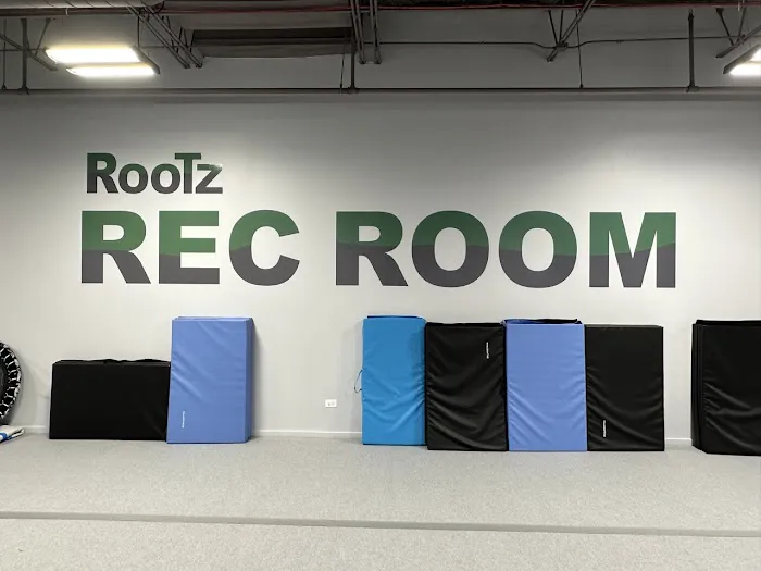 Rootz Rec Room Picture 3