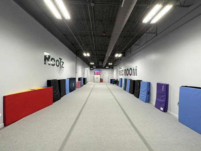 Rootz Rec Room Picture 6