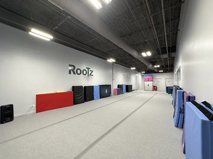 Rootz Rec Room Picture 4