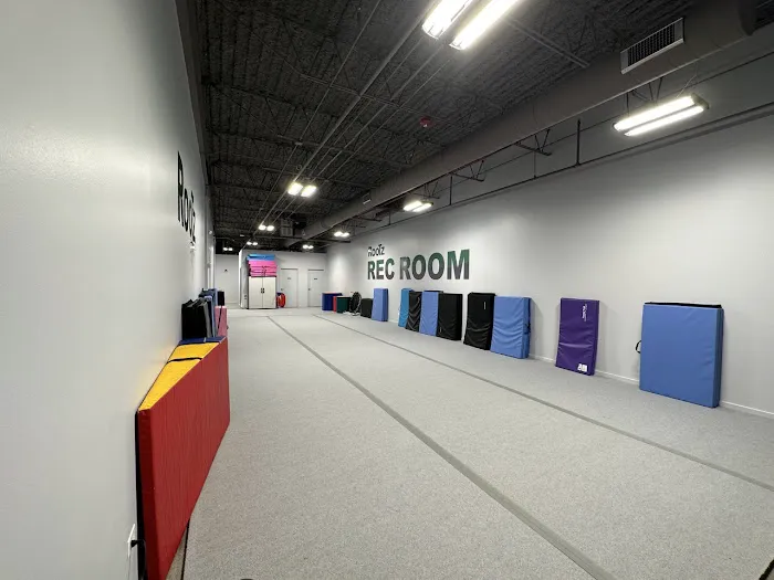 Rootz Rec Room Picture 5